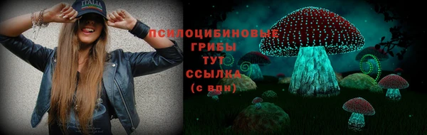 гидропоника Нязепетровск