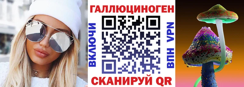 Псилоцибиновые грибы Psilocybine cubensis Пыталово
