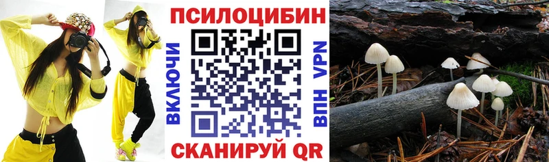 купить наркоту  Пыталово  Псилоцибиновые грибы Psilocybine cubensis 